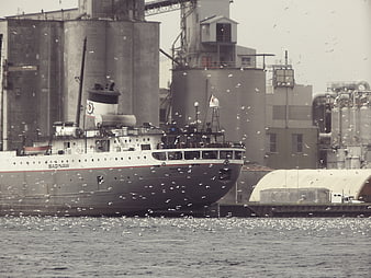 Vintage Saginaw Cargo Ship in Industrial Harbor with Seagulls
