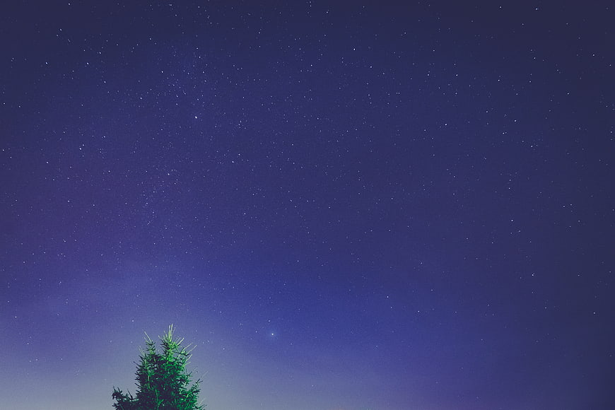 Starry Night Sky with Pine Tree Silhouette