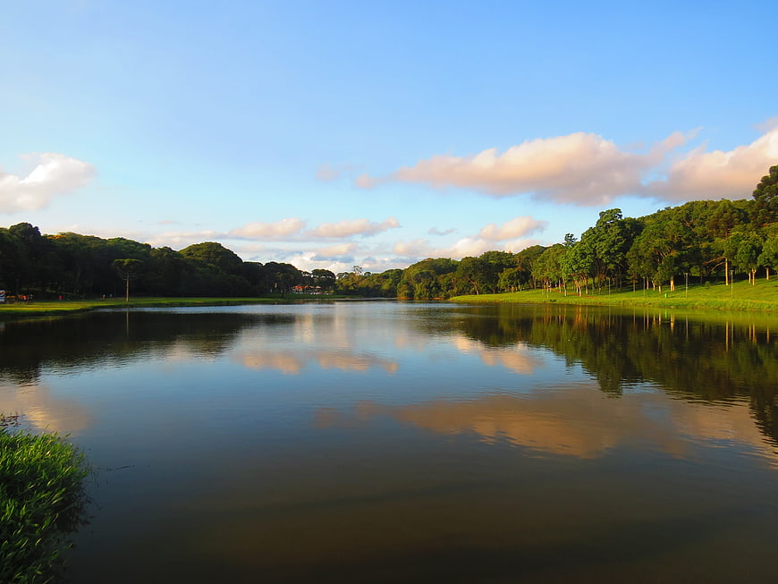 Serene Lake Reflection in Barigui Park, Curitiba, Brazil