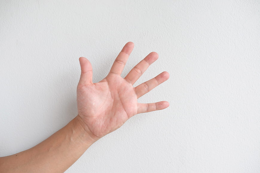 Open Palm Hand Gesture on White Background