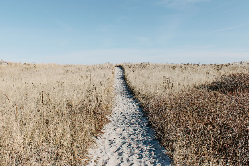 Sandy path through dry grass dunes under blue sky