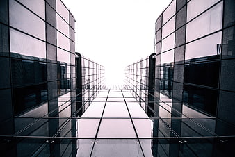Symmetrical modern glass architecture with leading lines