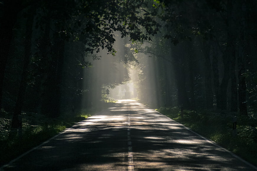Sunlit Forest Road with Dramatic Light Beams