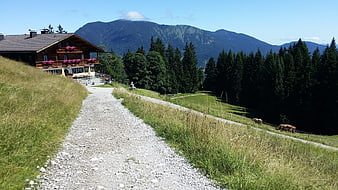 Alpine chalet with gravel path and mountain view