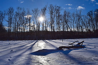 Winter Landscape with Sunlight Through Bare Trees