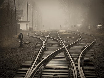 Foggy Railway Tracks with Switches and Signal