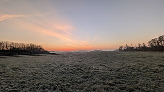 Frosty Meadow at Dawn with Soft Pink and Orange Sunrise Sky