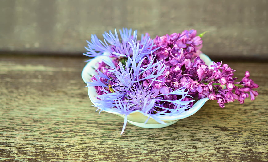 Purple cornflowers and lilacs in a white porcelain bowl on rustic wood