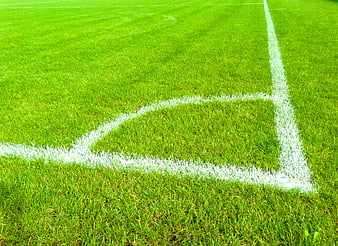 Green soccer field corner with white lines