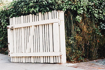 White wooden garden gate with overgrown green vines