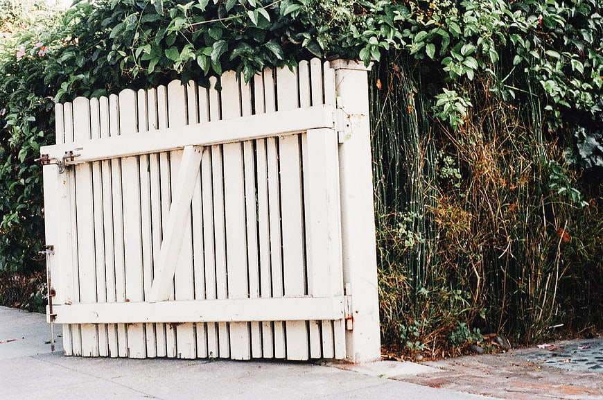 White wooden garden gate with overgrown green vines