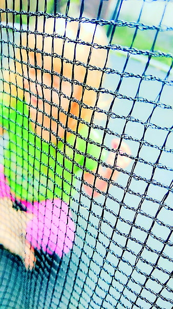 Close-up of black mesh netting with colorful blurred background
