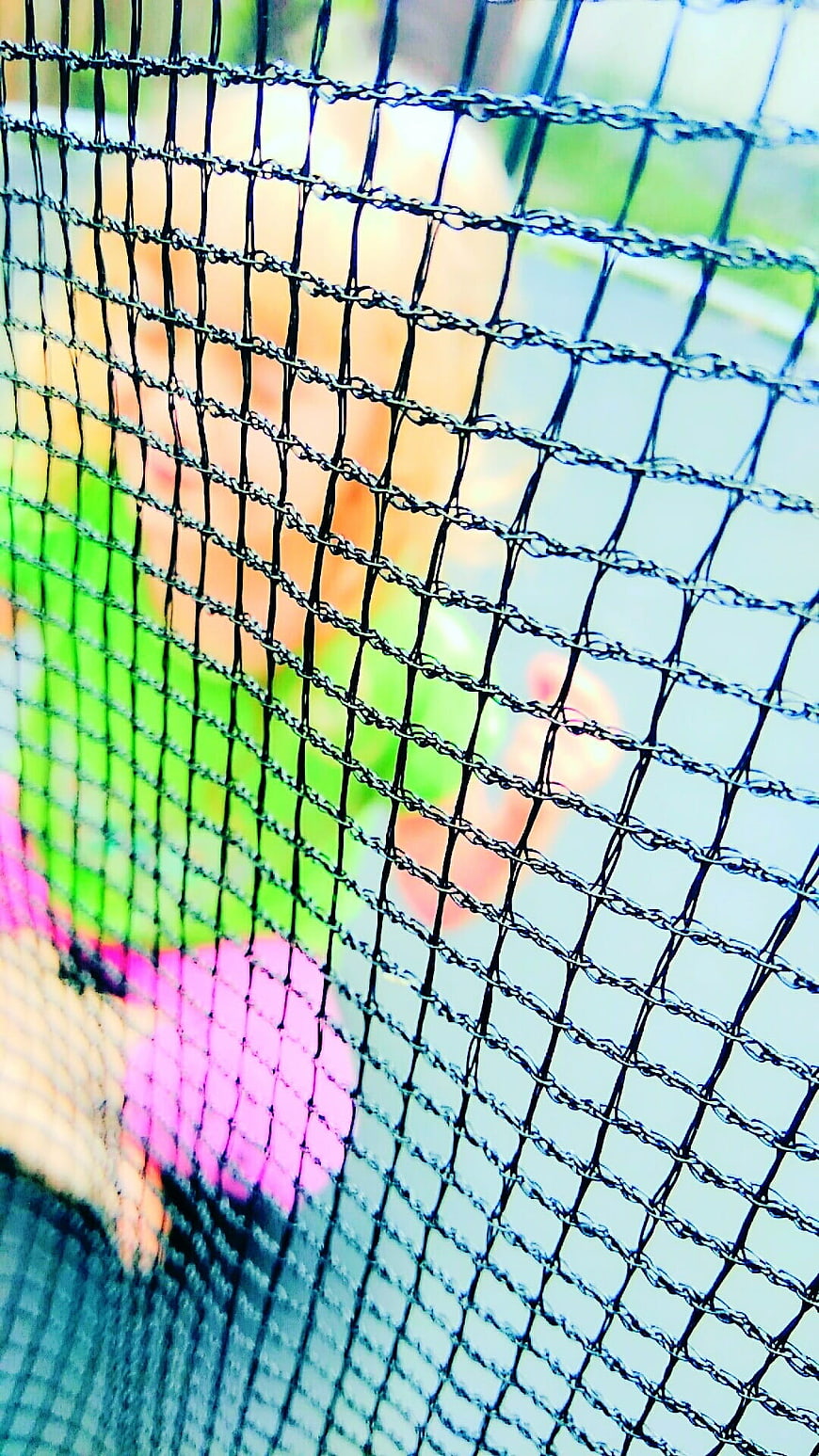 Close-up of black mesh netting with colorful blurred background