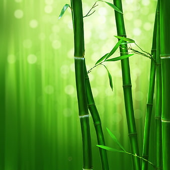 Vibrant Green Bamboo Stalks With Soft Bokeh Background