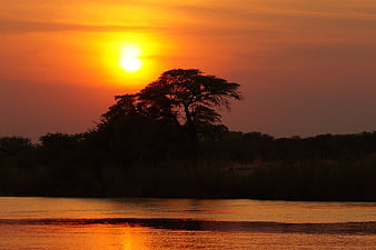 Silhouette of Acacia Tree at Sunset Over River