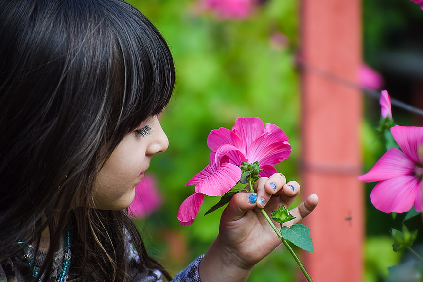 Young Girl Smelling Pink Hibiscus Flower in Garden