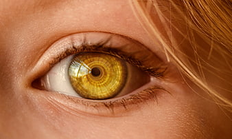Extreme Close-Up of Golden Human Eye with Detailed Iris