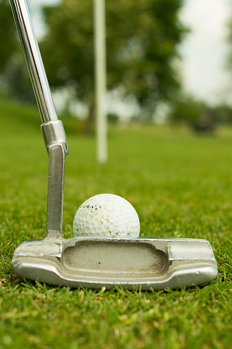 Close-up of golf putter and ball on green grass