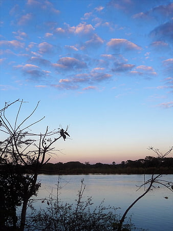 Serene Lake Landscape at Dusk with Silhouetted Trees