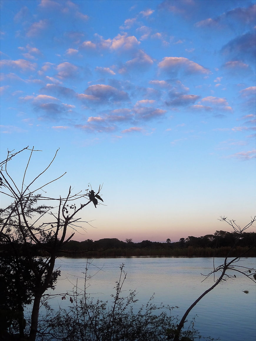 Serene Lake Landscape at Dusk with Silhouetted Trees