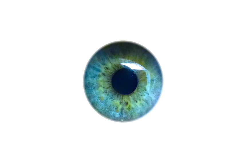 Close-up of Blue and Green Human Iris on White Background