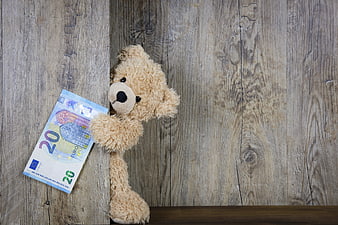 Teddy Bear Holding 20 Euro Banknote Against Rustic Wood Background