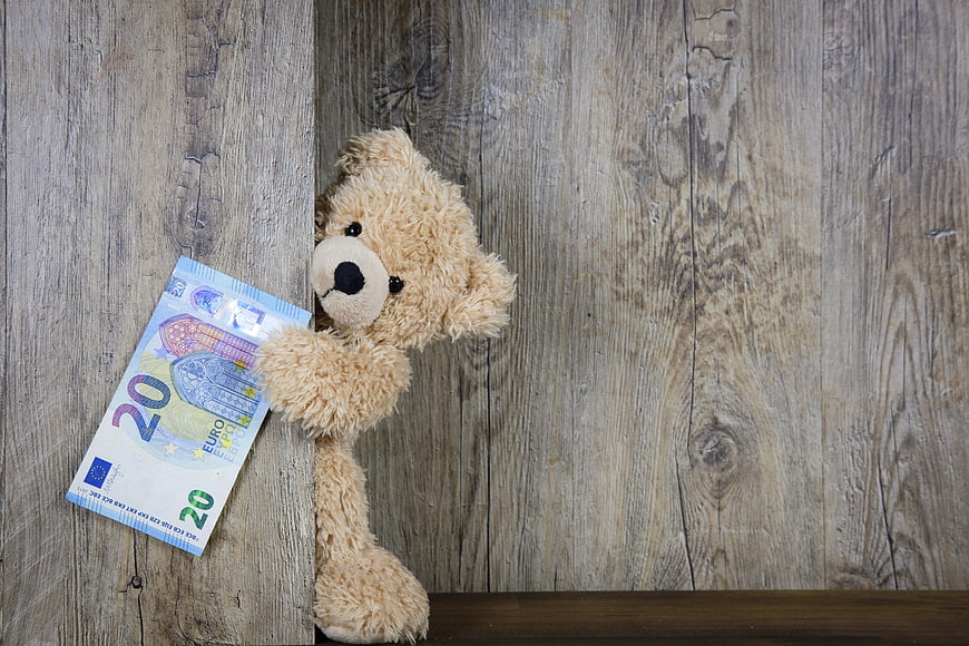 Teddy Bear Holding 20 Euro Banknote Against Rustic Wood Background