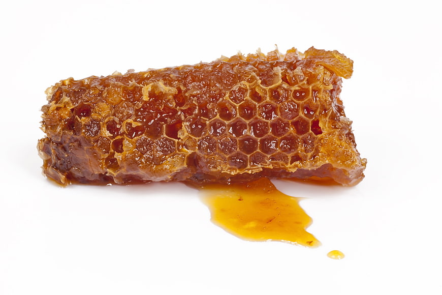 Honeycomb with dripping honey on white background