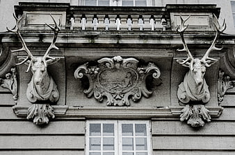 Black and white architectural detail of deer head sculptures on a historic building facade