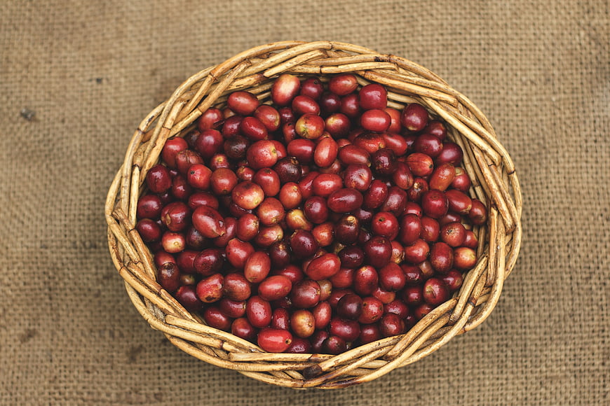 Top View of Red Coffee Cherries in Woven Basket