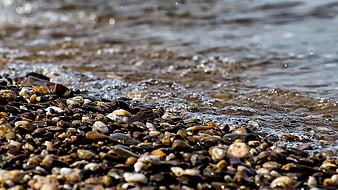 Close-up of wet pebbles on a riverbank with flowing water