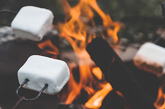 Roasting Marshmallows Over Campfire Flames