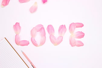 Pink flower petals spelling LOVE on white background with notebook