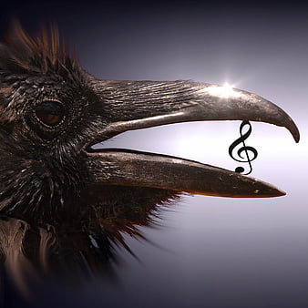 Surreal Crow Head with Musical Treble Clef
