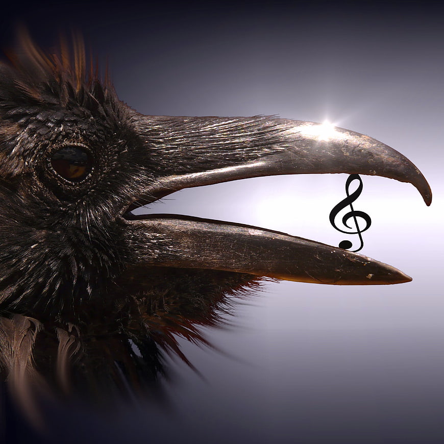 Surreal Crow Head with Musical Treble Clef
