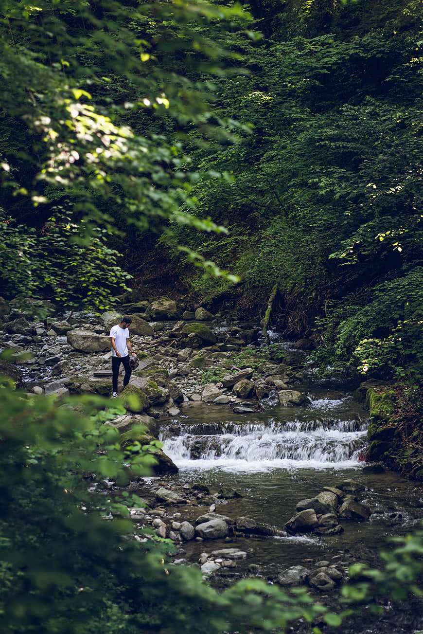 Man hiking by a forest stream in lush green woods