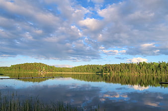 Serene Lake Landscape with Forest Reflections and Cloudy Sky