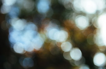 Abstract White and Brown Bokeh Background