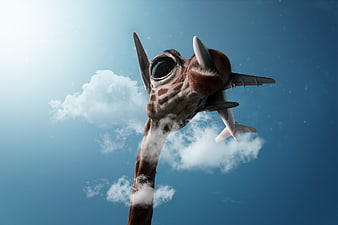 Surreal Giraffe Head With Airplane Beak In Blue Sky