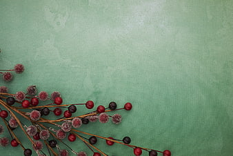 Frosted red berries on mint green background