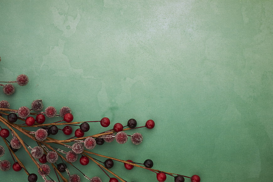 Frosted red berries on mint green background