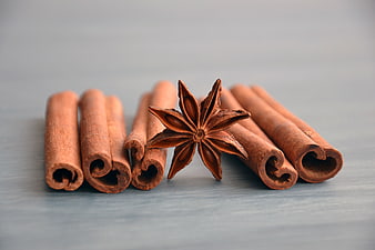 Cinnamon Sticks and Star Anise on Blue Background