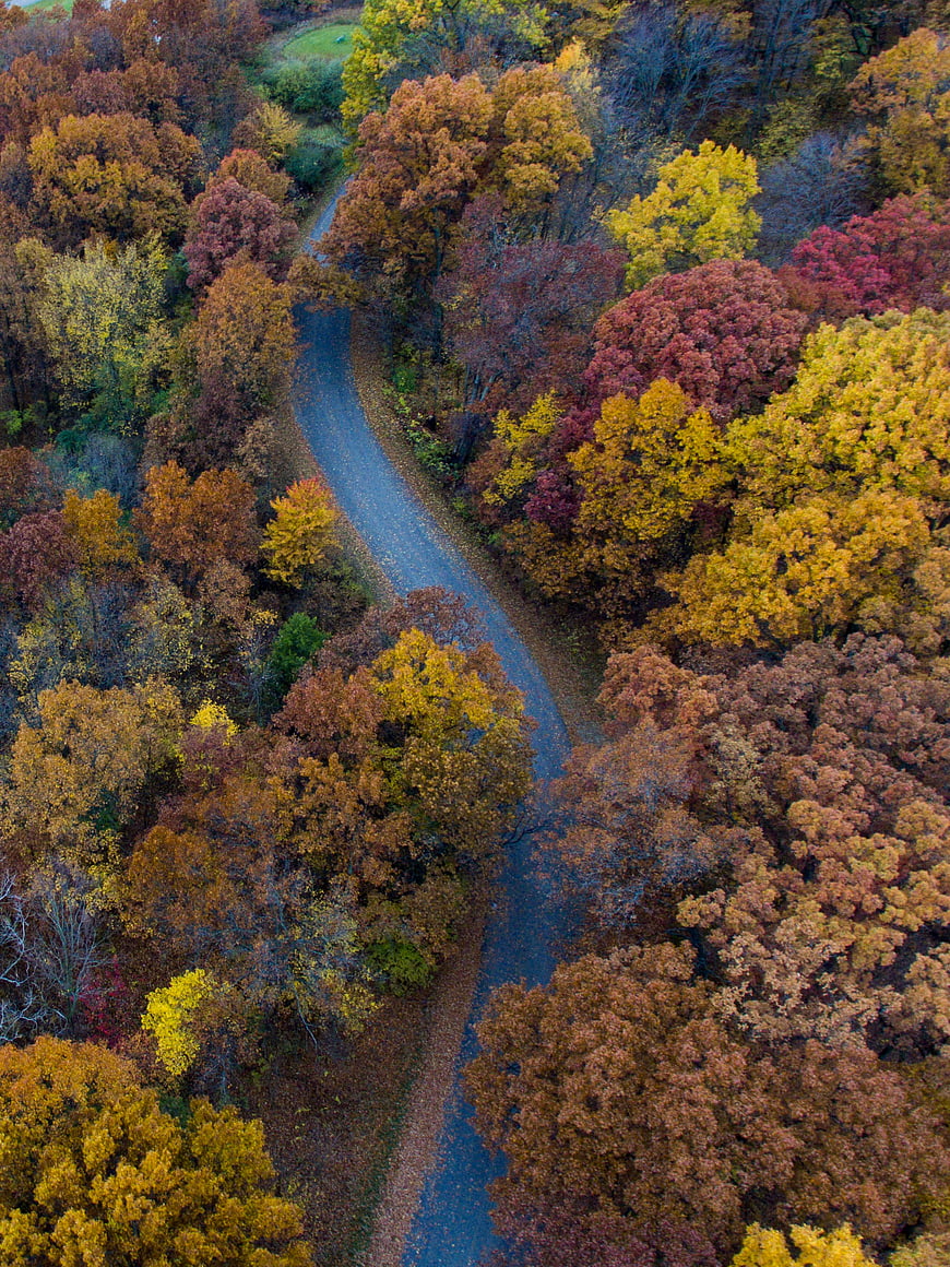 Aerial View of Winding Road Through Vibrant Autumn Forest