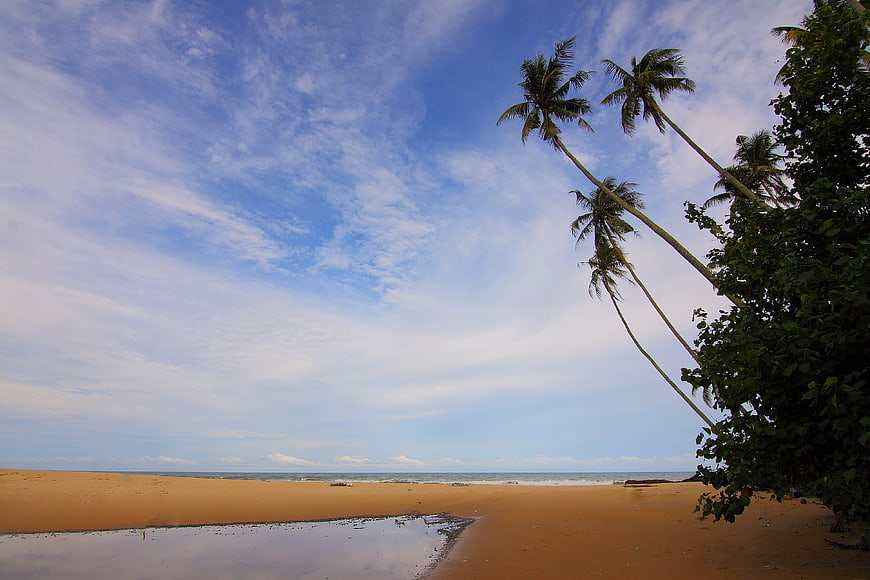 Tropical Beach with Leaning Palm Trees and Blue Sky