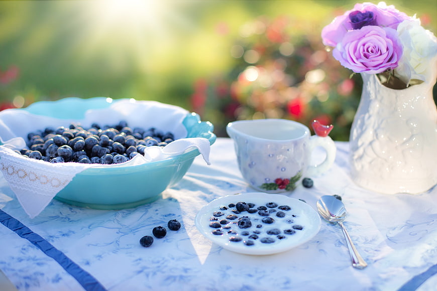 Fresh Blueberries and Milk Breakfast in Garden