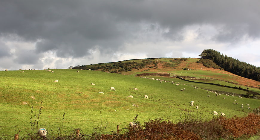 Sheep grazing on green rolling hills under dramatic cloudy sky
