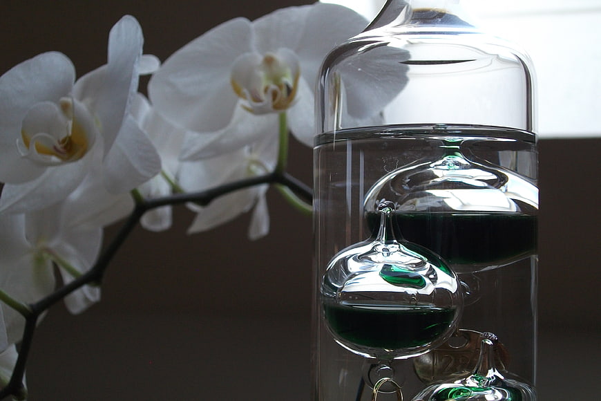 White Orchid and Galileo Thermometer Still Life
