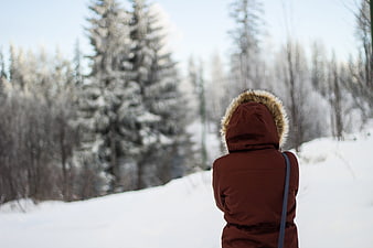 Woman in Brown Parka Looking at Snowy Winter Forest