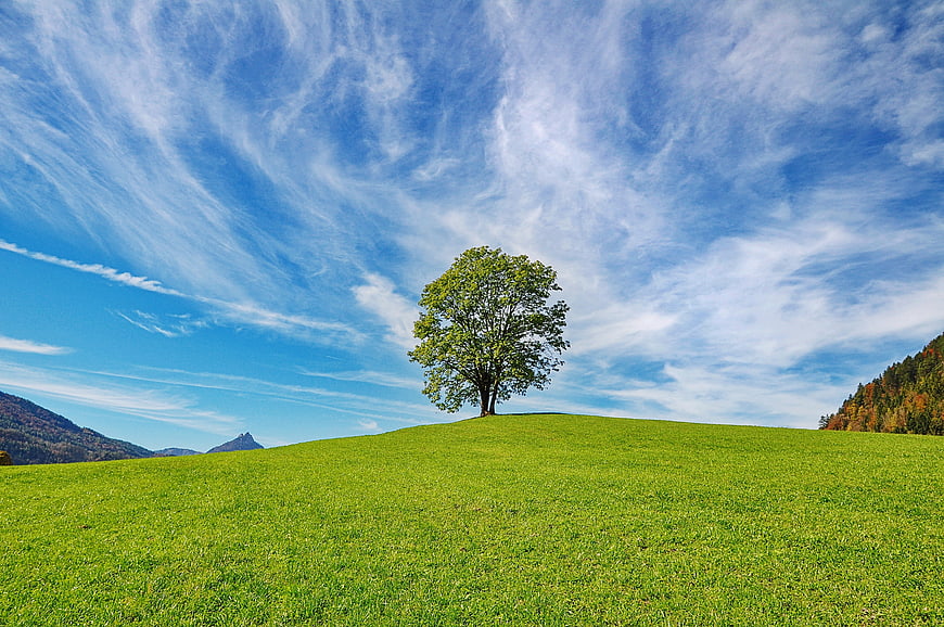 Lone tree on green hill under blue sky with clouds