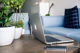 Silver MacBook and iPhone on Wooden Table with Plants